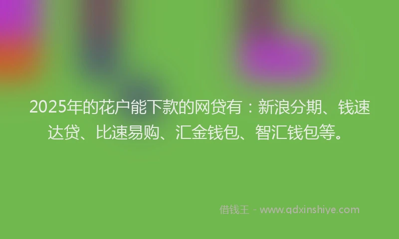 2025年的花户能下款的网贷有：新浪分期、钱速达贷、比速易购、汇金钱包、智汇钱包等。