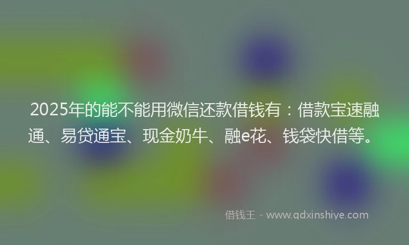 2025年的能不能用微信还款借钱有：借款宝速融通、易贷通宝、现金奶牛、融e花、钱袋快借等。