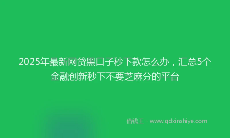 2025年最新网贷黑口子秒下款怎么办，汇总5个金融创新秒下不要芝麻分的平台