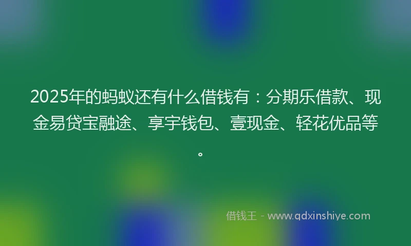 2025年的蚂蚁还有什么借钱有：分期乐借款、现金易贷宝融途、享宇钱包、壹现金、轻花优品等。