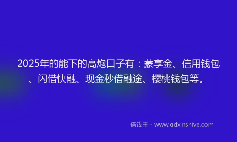 2025年的能下的高炮口子有：蒙享金、信用钱包、闪借快融、现金秒借融途、樱桃钱包等。