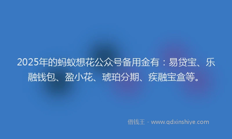 2025年的蚂蚁想花公众号备用金有：易贷宝、乐融钱包、盈小花、琥珀分期、疾融宝盒等。