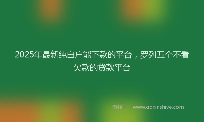 2025年最新纯白户能下款的平台，罗列五个不看欠款的贷款平台