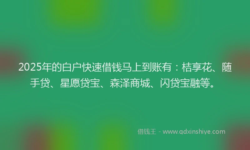 2025年的白户快速借钱马上到账有：桔享花、随手贷、星愿贷宝、森泽商城、闪贷宝融等。