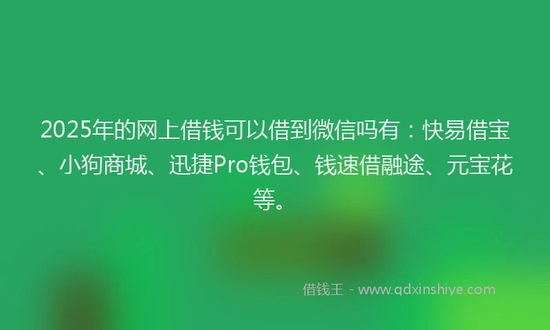 2025年的网上借钱可以借到微信吗有：快易借宝、小狗商城、迅捷Pro钱包、钱速借融途、元宝花等。