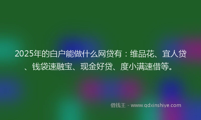 2025年的白户能做什么网贷有：维品花、宜人贷、钱袋速融宝、现金好贷、度小满速借等。