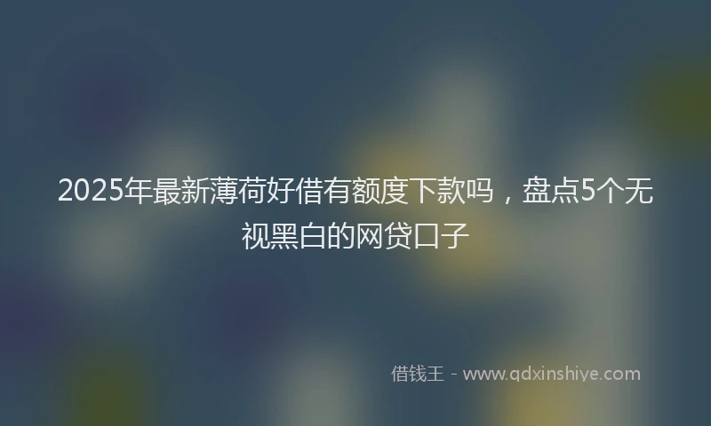 2025年最新薄荷好借有额度下款吗，盘点5个无视黑白的网贷口子