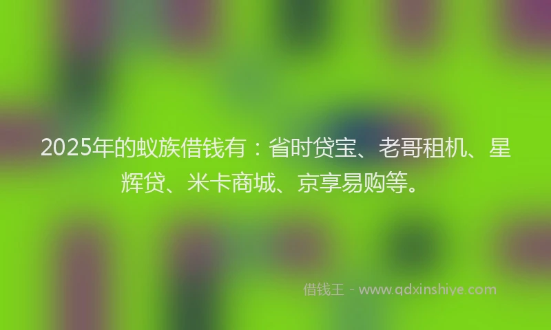 2025年的蚁族借钱有：省时贷宝、老哥租机、星辉贷、米卡商城、京享易购等。
