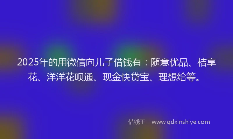 2025年的用微信向儿子借钱有：随意优品、桔享花、洋洋花呗通、现金快贷宝、理想给等。