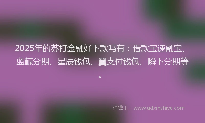 2025年的苏打金融好下款吗有：借款宝速融宝、蓝鲸分期、星辰钱包、翼支付钱包、瞬下分期等。