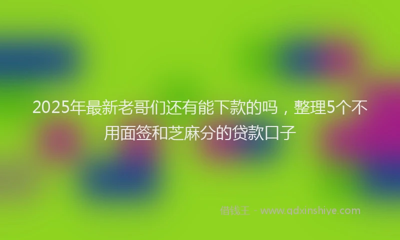 2025年最新老哥们还有能下款的吗，整理5个不用面签和芝麻分的贷款口子