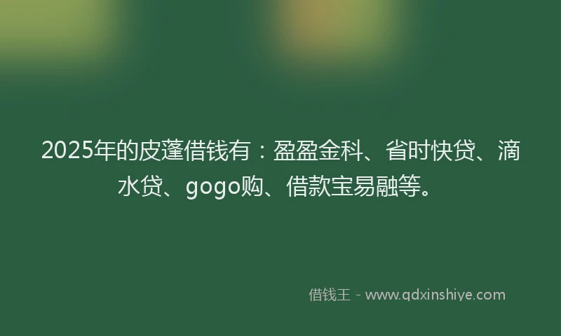 2025年的皮蓬借钱有：盈盈金科、省时快贷、滴水贷、gogo购、借款宝易融等。