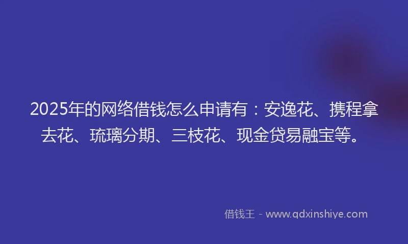 2025年的网络借钱怎么申请有：安逸花、携程拿去花、琉璃分期、三枝花、现金贷易融宝等。