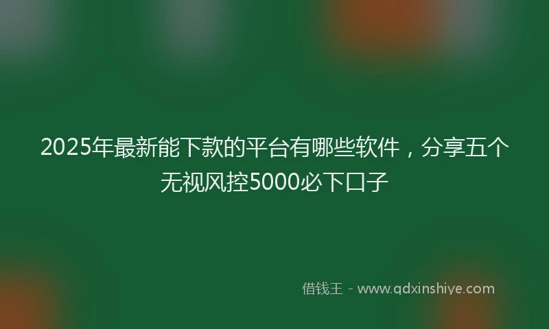 2025年最新能下款的平台有哪些软件，分享五个无视风控5000必下口子