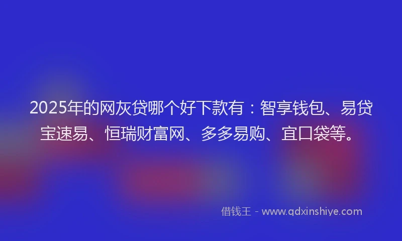 2025年的网灰贷哪个好下款有：智享钱包、易贷宝速易、恒瑞财富网、多多易购、宜口袋等。