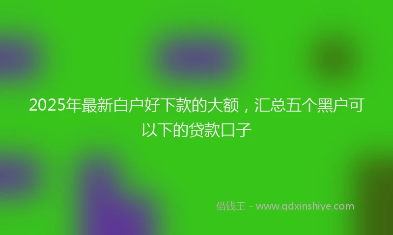 2025年最新白户好下款的大额，汇总五个黑户可以下的贷款口子