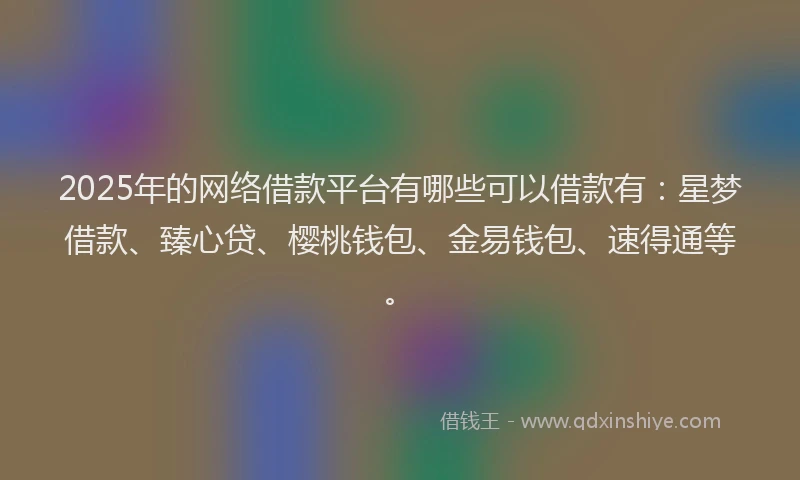 2025年的网络借款平台有哪些可以借款有：星梦借款、臻心贷、樱桃钱包、金易钱包、速得通等。