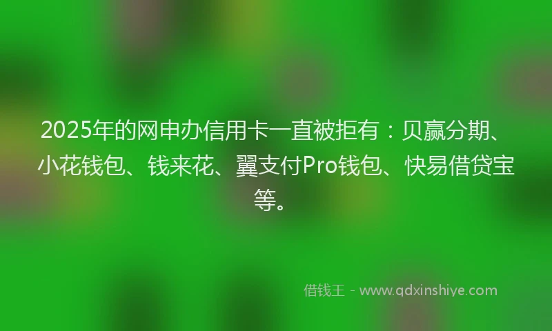 2025年的网申办信用卡一直被拒有：贝赢分期、小花钱包、钱来花、翼支付Pro钱包、快易借贷宝等。