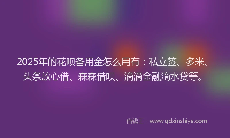 2025年的花呗备用金怎么用有：私立签、多米、头条放心借、森森借呗、滴滴金融滴水贷等。