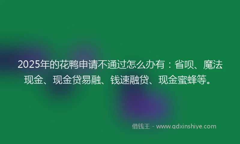 2025年的花鸭申请不通过怎么办有：省呗、魔法现金、现金贷易融、钱速融贷、现金蜜蜂等。
