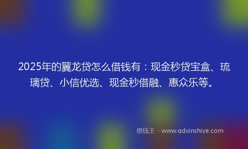 2025年的翼龙贷怎么借钱有：现金秒贷宝盒、琉璃贷、小信优选、现金秒借融、惠众乐等。