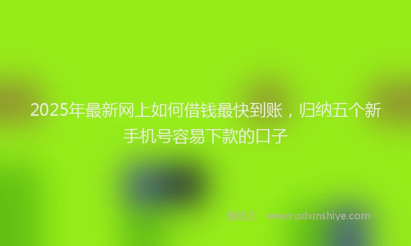 2025年最新网上如何借钱最快到账，归纳五个新手机号容易下款的口子