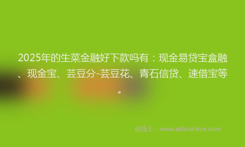 2025年的生菜金融好下款吗有：现金易贷宝盒融、现金宝、芸豆分-芸豆花、青石信贷、速借宝等。