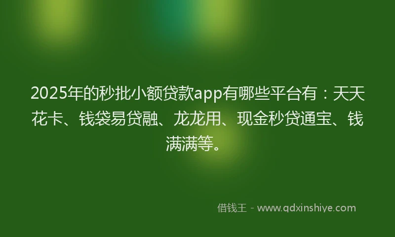 2025年的秒批小额贷款app有哪些平台有：天天花卡、钱袋易贷融、龙龙用、现金秒贷通宝、钱满满等。
