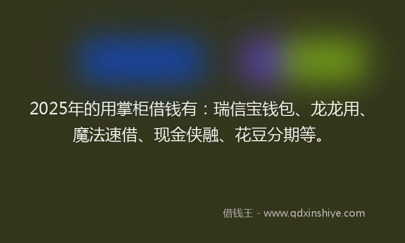 2025年的用掌柜借钱有：瑞信宝钱包、龙龙用、魔法速借、现金侠融、花豆分期等。