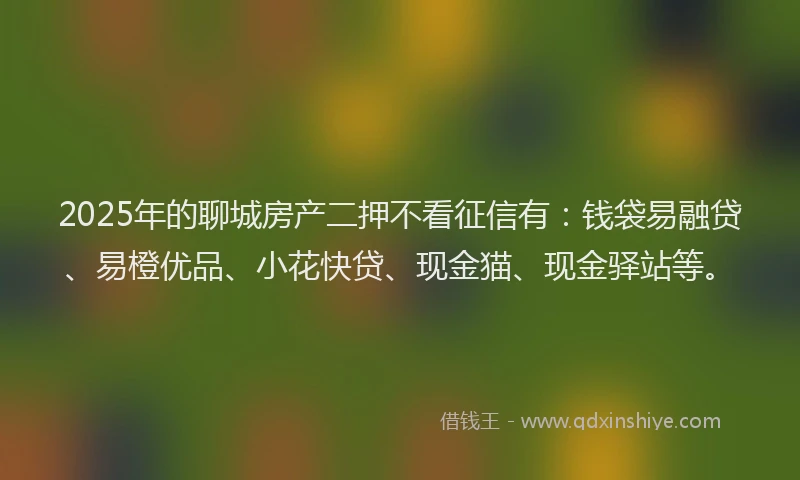 2025年的聊城房产二押不看征信有：钱袋易融贷、易橙优品、小花快贷、现金猫、现金驿站等。