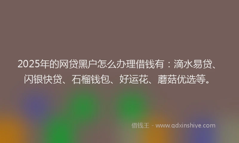 2025年的网贷黑户怎么办理借钱有：滴水易贷、闪银快贷、石榴钱包、好运花、蘑菇优选等。