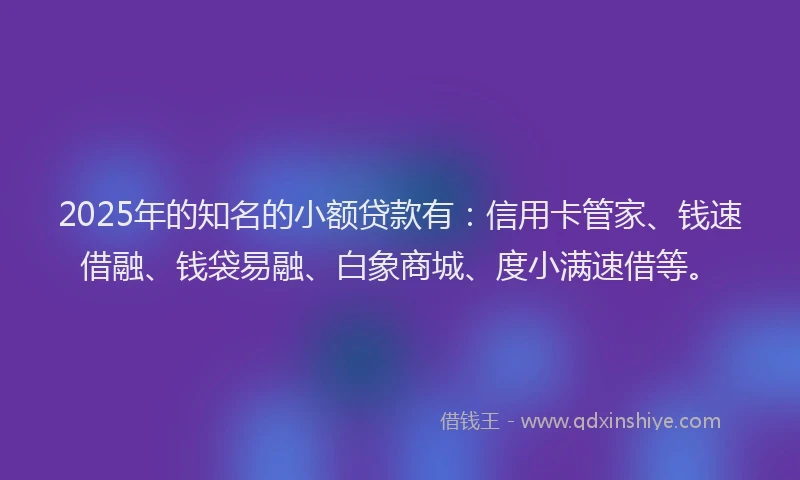 2025年的知名的小额贷款有：信用卡管家、钱速借融、钱袋易融、白象商城、度小满速借等。