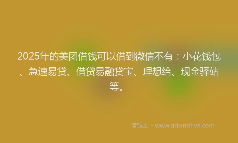 2025年的美团借钱可以借到微信不有：小花钱包、急速易贷、借贷易融贷宝、理想给、现金驿站等。