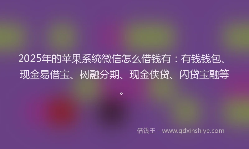 2025年的苹果系统微信怎么借钱有：有钱钱包、现金易借宝、树融分期、现金侠贷、闪贷宝融等。