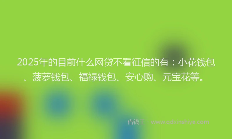 2025年的目前什么网贷不看征信的有：小花钱包、菠萝钱包、福禄钱包、安心购、元宝花等。
