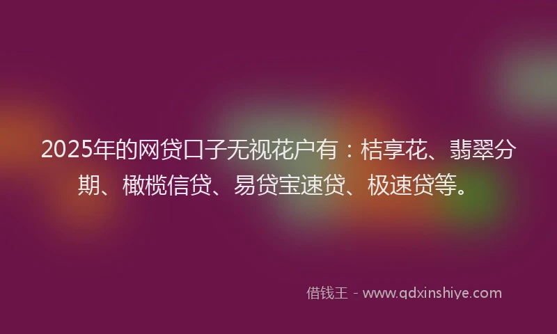 2025年的网贷口子无视花户有：桔享花、翡翠分期、橄榄信贷、易贷宝速贷、极速贷等。