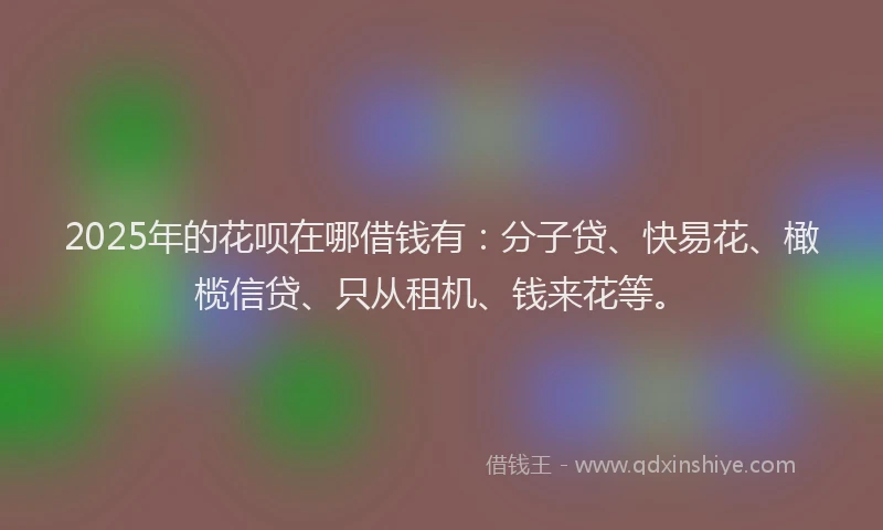 2025年的花呗在哪借钱有：分子贷、快易花、橄榄信贷、只从租机、钱来花等。