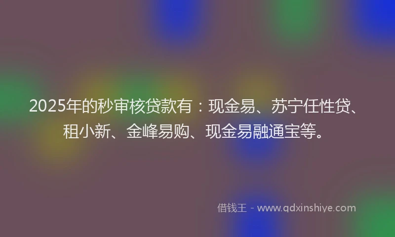 2025年的秒审核贷款有：现金易、苏宁任性贷、租小新、金峰易购、现金易融通宝等。