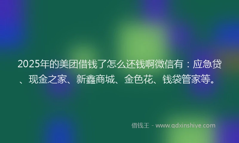 2025年的美团借钱了怎么还钱啊微信有：应急贷、现金之家、新鑫商城、金色花、钱袋管家等。