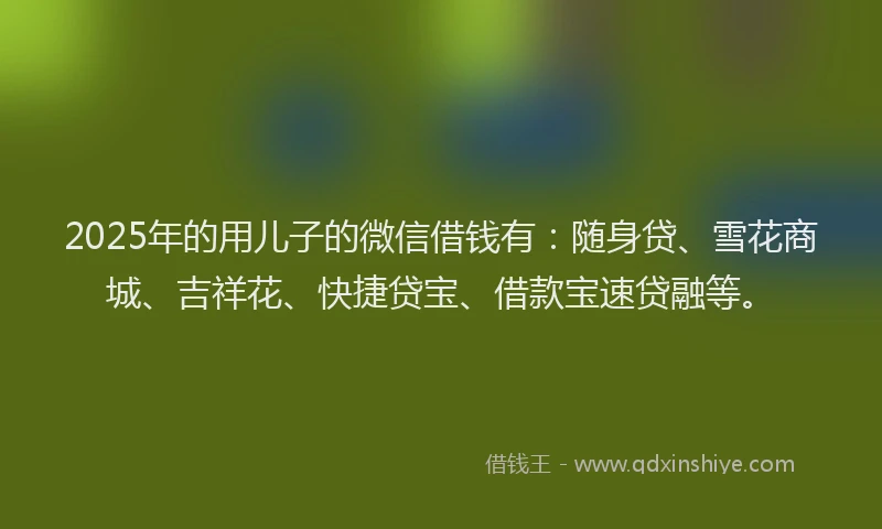 2025年的用儿子的微信借钱有：随身贷、雪花商城、吉祥花、快捷贷宝、借款宝速贷融等。