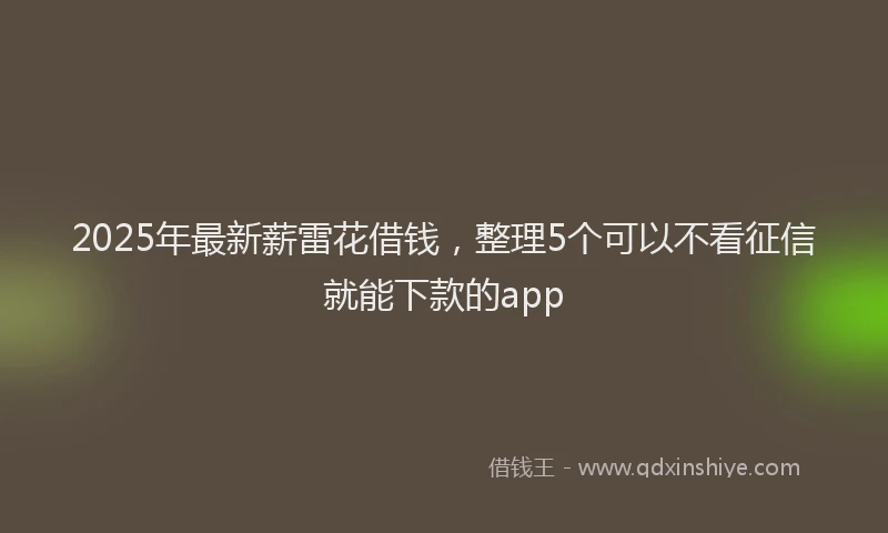 2025年最新薪雷花借钱，整理5个可以不看征信就能下款的app