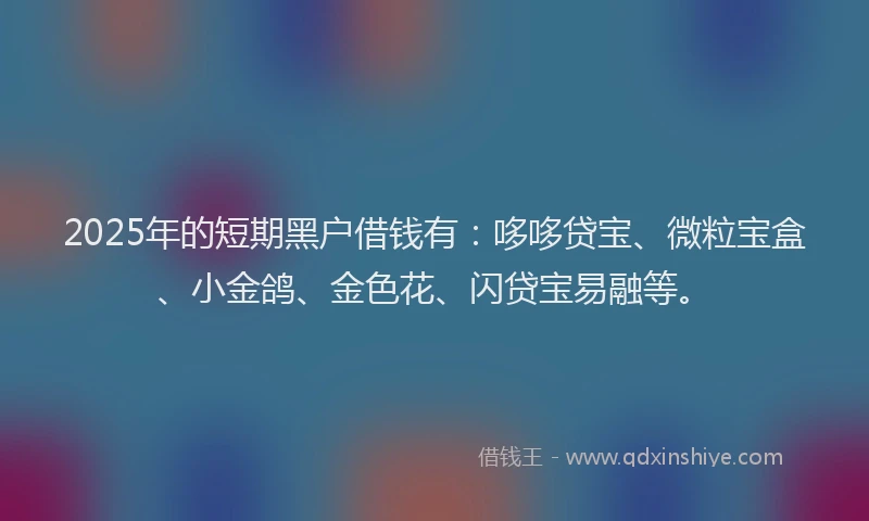 2025年的短期黑户借钱有：哆哆贷宝、微粒宝盒、小金鸽、金色花、闪贷宝易融等。