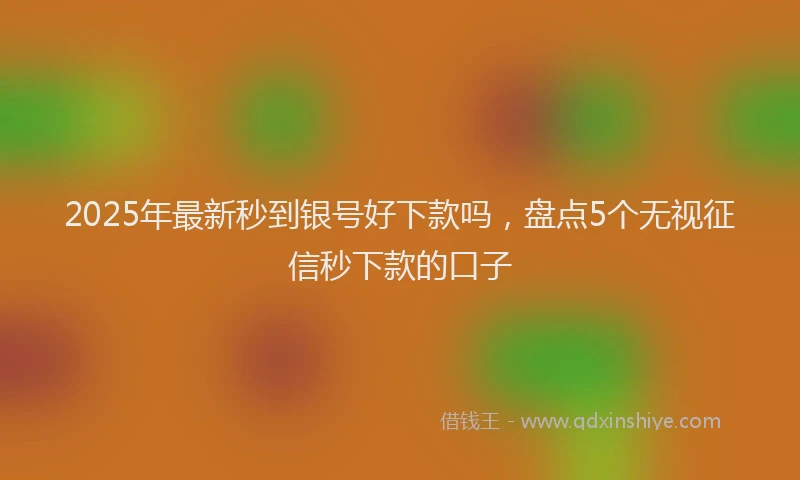 2025年最新秒到银号好下款吗，盘点5个无视征信秒下款的口子