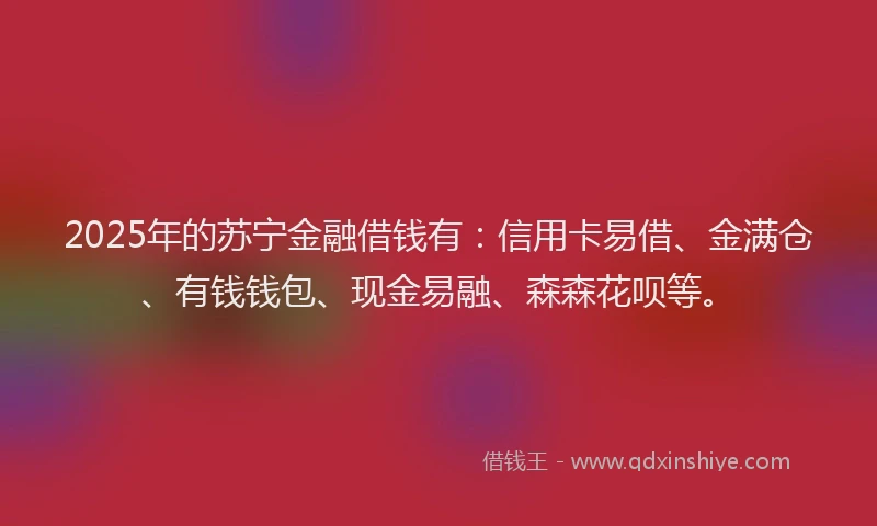 2025年的苏宁金融借钱有：信用卡易借、金满仓、有钱钱包、现金易融、森森花呗等。