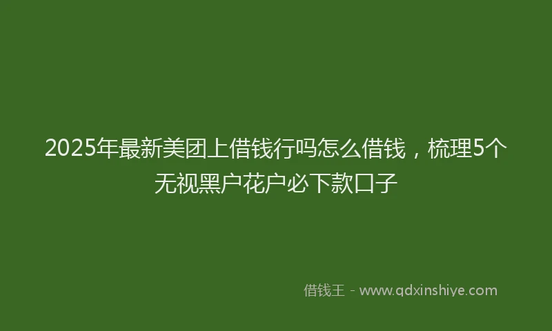 2025年最新美团上借钱行吗怎么借钱，梳理5个无视黑户花户必下款口子