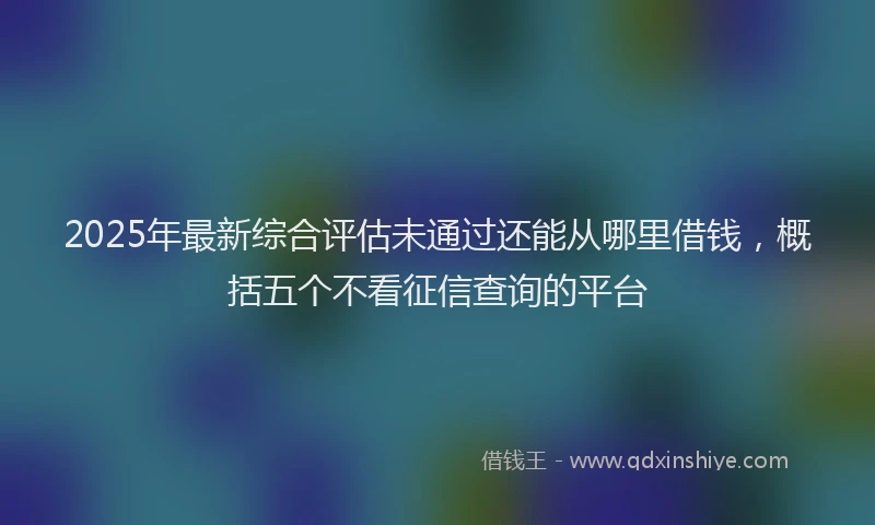 2025年最新综合评估未通过还能从哪里借钱，概括五个不看征信查询的平台