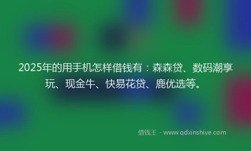 2025年的用手机怎样借钱有：森森贷、数码潮享玩、现金牛、快易花贷、鹿优选等。