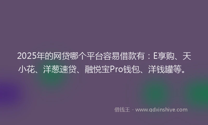 2025年的网贷哪个平台容易借款有：E享购、天小花、洋葱速贷、融悦宝Pro钱包、洋钱罐等。
