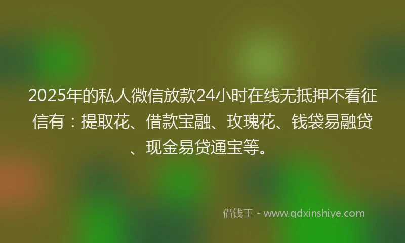 2025年的私人微信放款24小时在线无抵押不看征信有：提取花、借款宝融、玫瑰花、钱袋易融贷、现金易贷通宝等。