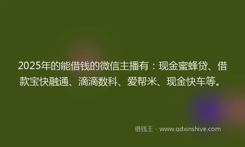 2025年的能借钱的微信主播有：现金蜜蜂贷、借款宝快融通、滴滴数科、爱帮米、现金快车等。